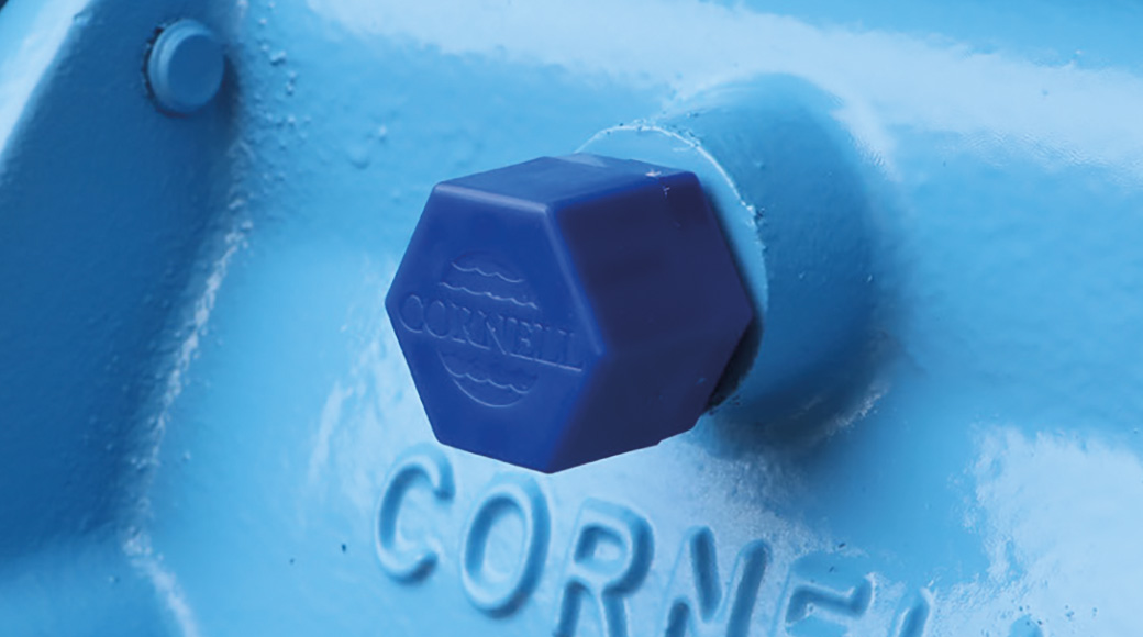 Cornell_Pulse