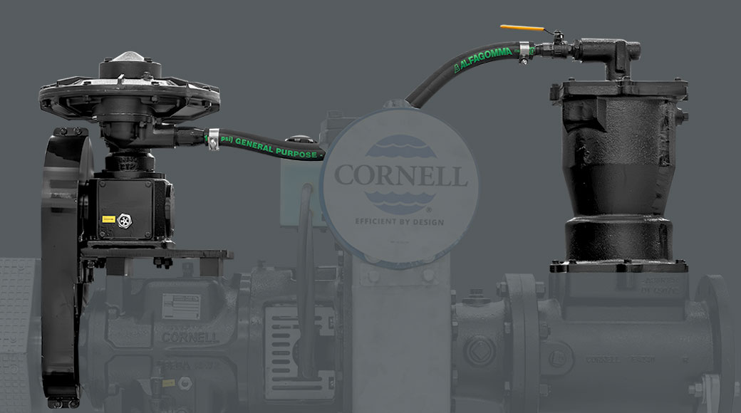 Redi_Prime_Cornell
