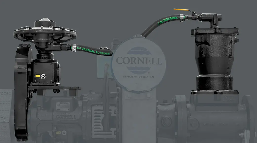 Redi_Prime_Cornell
